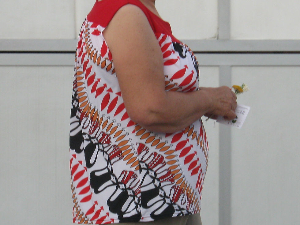 Feira da Luz, Montemor-o-Novo, 2013