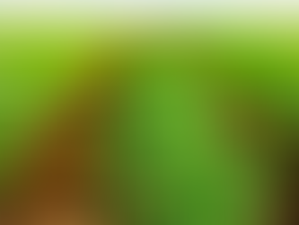 Nivelación agrícola: ¿Necesidad o lujo?