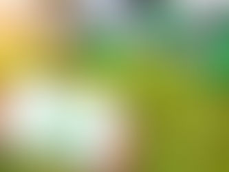 ¿Cómo beneficia la tecnología a mis cultivos?