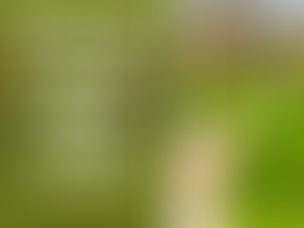 Assam Tea: A True Delight from Nature