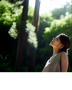 nature connection, forest bathing, renew and nourish