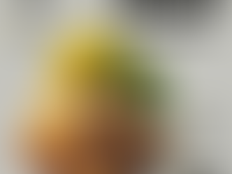 3D forest diagram titled Community Mindsets. The X-axis shows Gratitude versus Entitlement, and the Y-axis shows Empathy versus Judgement. Four trees illustrate the quadrants: A – Gratitude + Empathy, “We thrive together,” a healthy radiant tree. B – Gratitude + Judgement, “I’m blessed,” a strong but self-focused tree. C – Entitlement + Empathy, “We deserve this,” a smaller in-group tree. D – Entitlement + Judgement, “I’m better,” a dark, stunted tree. The image represents how gratitude and empathy sustain communities, while entitlement and judgement erode them.