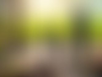 Silhouette of a mother and two children holding hands, walking through a broken gate in a crumbling brick wall toward a green field at sunrise, with heavy chains and debris left behind them.