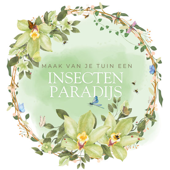 Insectenbiodiversiteitbord