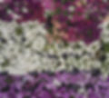 Untitled_edited.jpg