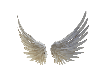 kate-wings.gif