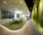 Biophilic Design