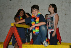Festa Tropical