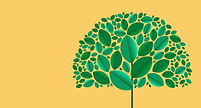 SUSTAINABILITY.png