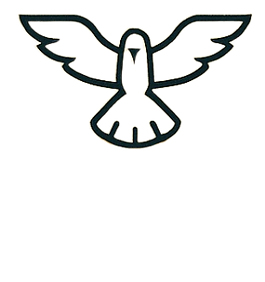 removed-background (27).png
