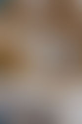 Kinaara - The Ripple House By Design Dott Com | Surat, Gujarat