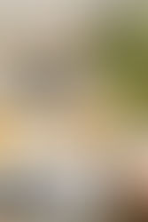 An Apartment By Essajees Atelier in Mumbai