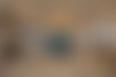 A Luxurious Apartment in Gurgaon | MADS Creations