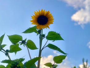 Difficult moments invite us to slow down. 💗