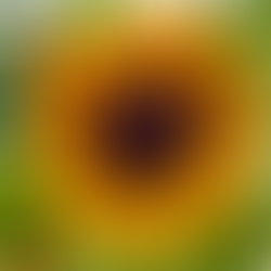 Self-LOVE vs Selfishness