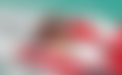 Top 5 Things to do in Mauritius