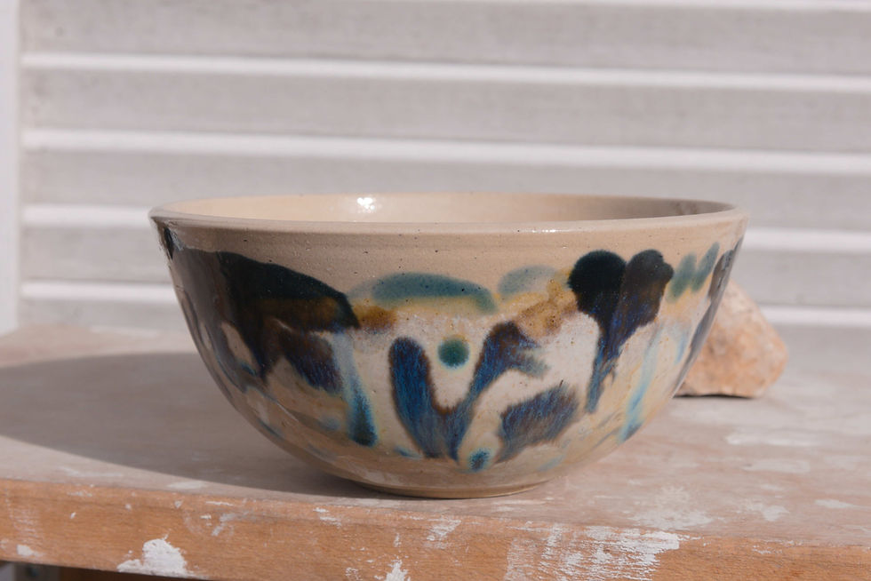 Bol EVOLA et son Torus