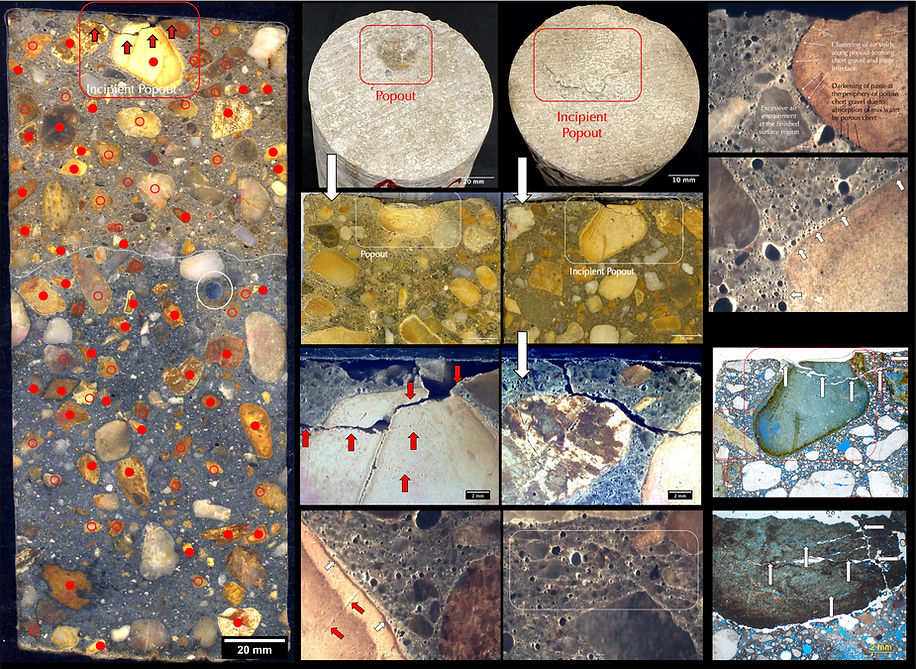 Scaling 7 popout from chert.jpg