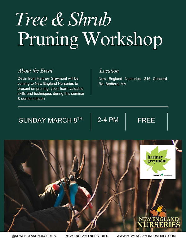 Pruning workshop.png