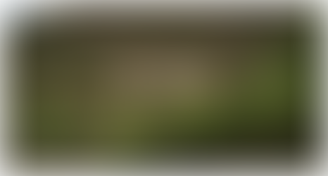 Finding the Perfect Lot for an Arizona Custom Home