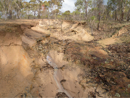 Erosion control Project