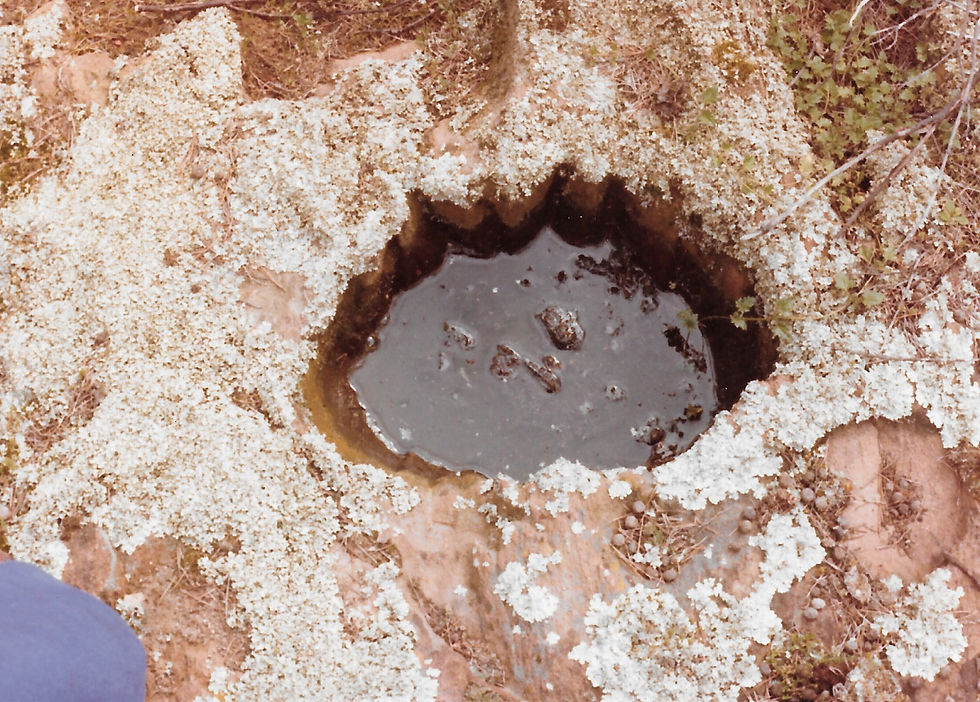 Aboriginal Rock hole, Slaty Creek, E McDonald