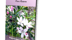 St Arnaud Wax Garden Tour