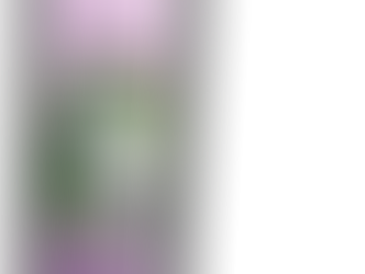 St Arnaud Wax Garden Tour