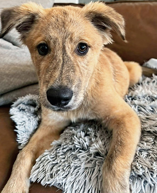 460730438_122161107926126288_36819767964