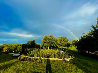IMG_2757.jpeg