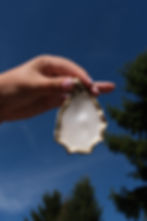 DSCF3758.JPG