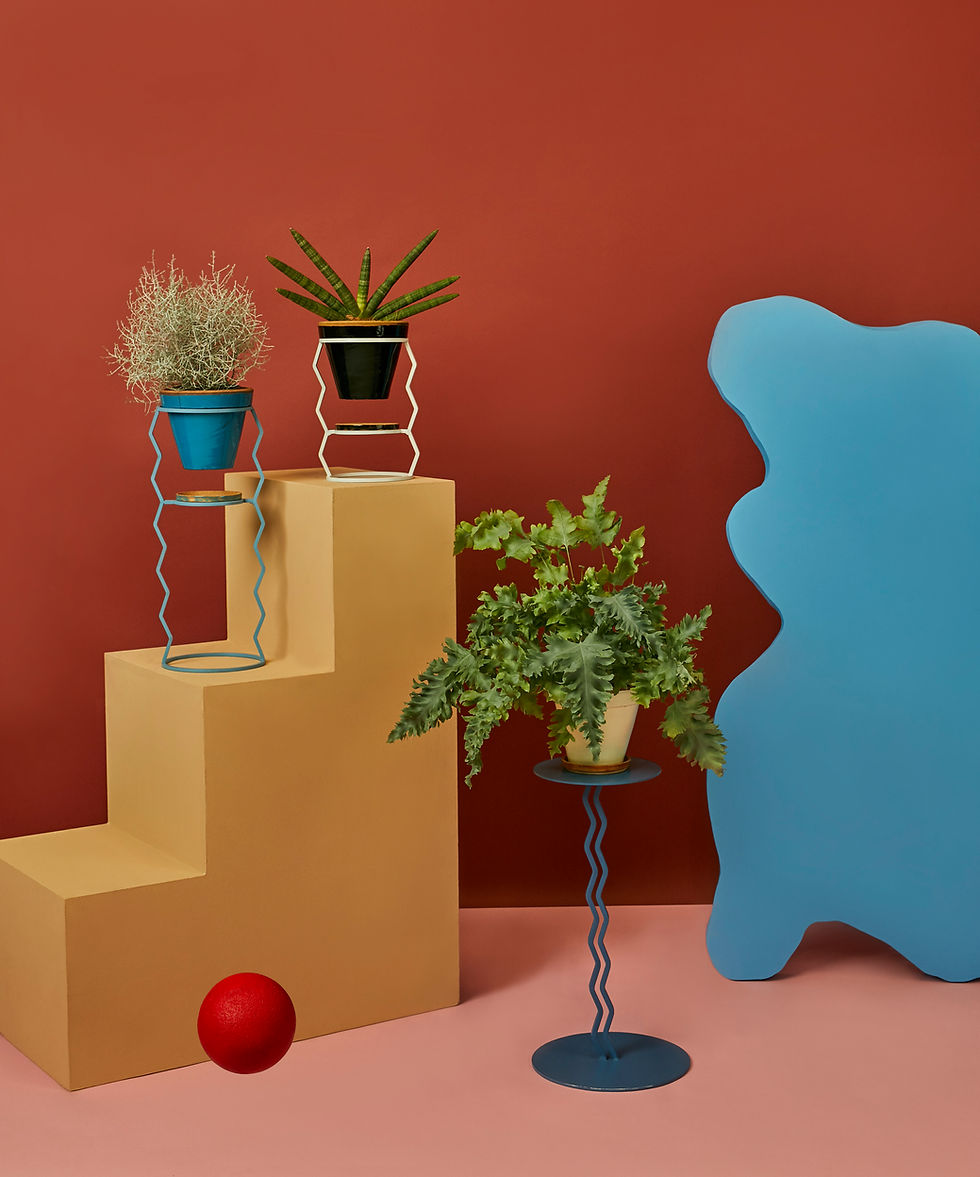 LETKO_KOLOR0966 kopia.jpg