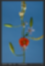 Screenshot 2024-02-03 at 20.09.50.png