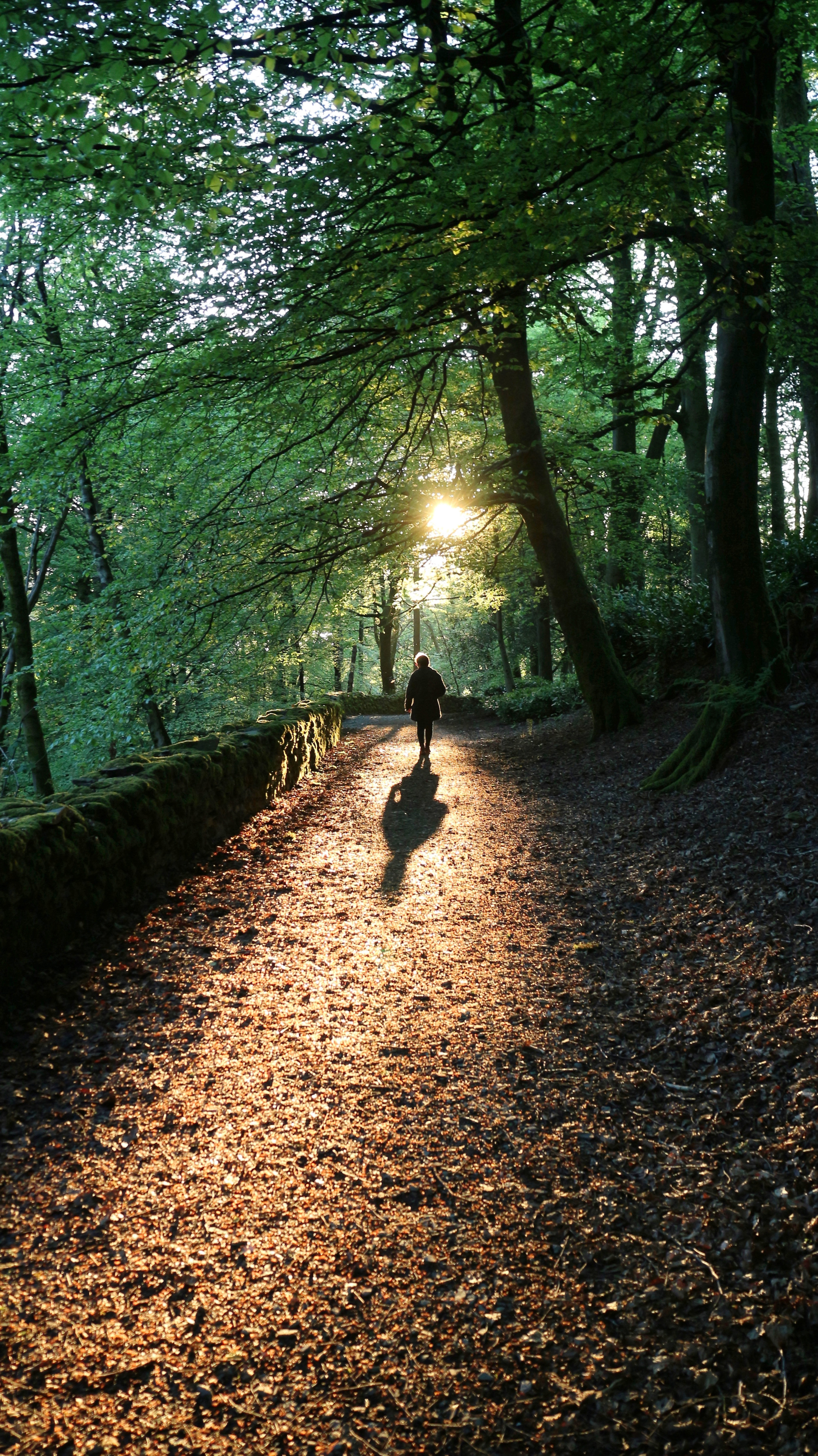 Towards the Light