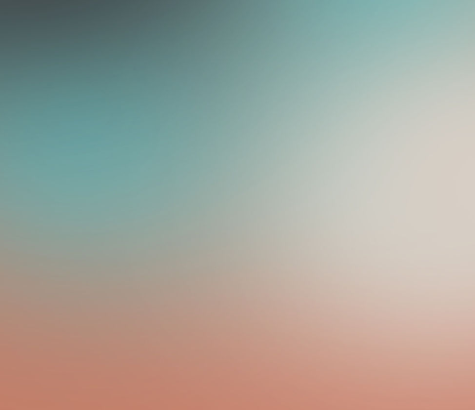 EXAMPLE - DO NOT CHANGE, APPLIED GRADIENT OVER IMAGE AT 60% OPACITY_edited.jpg