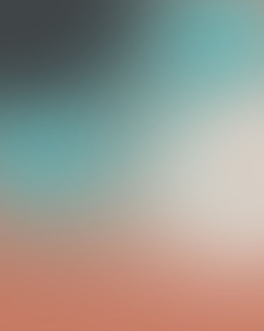 EXAMPLE - DO NOT CHANGE, APPLIED GRADIENT OVER IMAGE AT 60% OPACITY.jpg