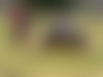 Surf n' Turf Women's 7s Rugby Tournament