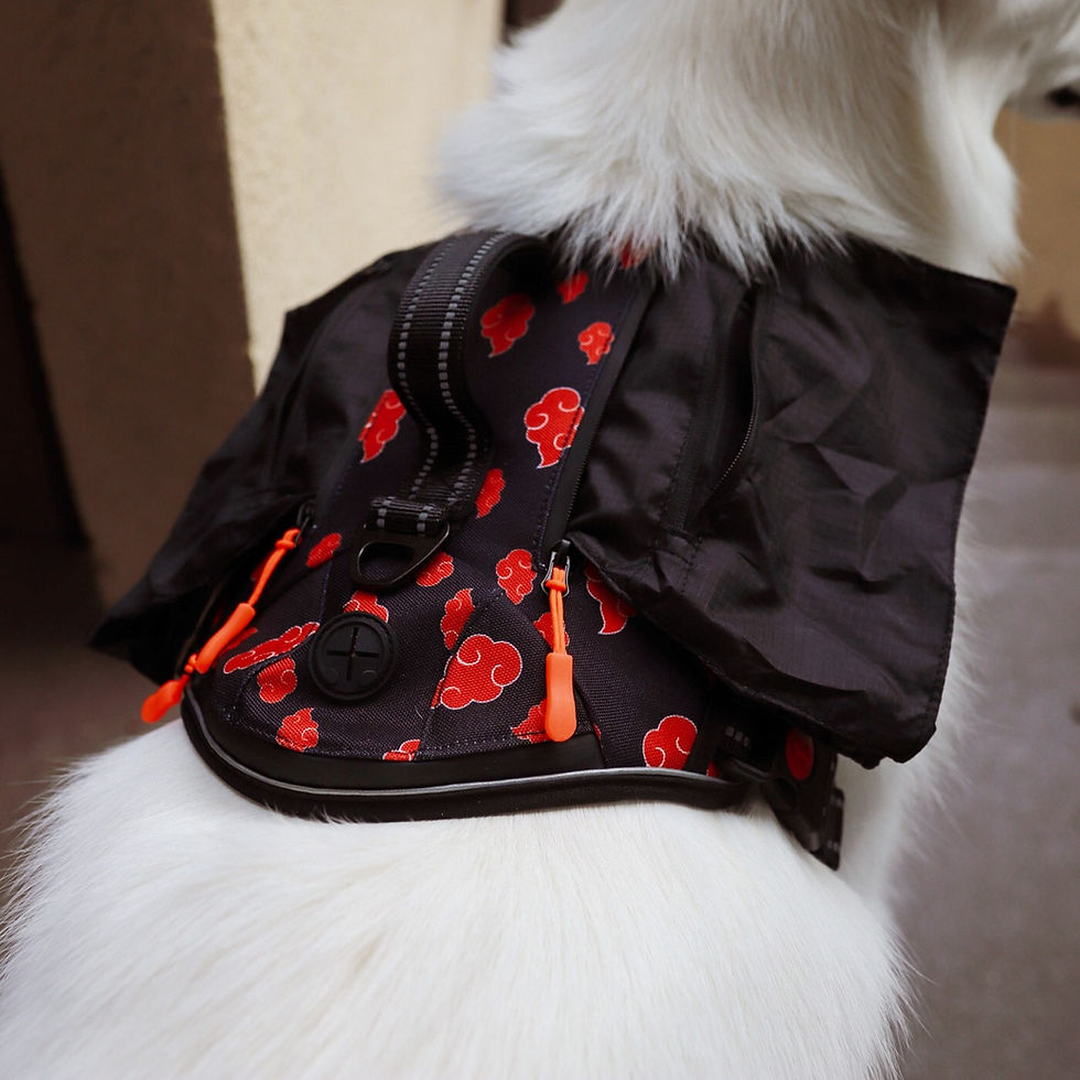 Thumbnail: Red Cloud Harness