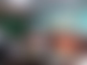 The collaboration for the execution of the "Free Screening and Surgery" Program aimed at children with disabilities in Thai Binh province is set to take place in 2025.