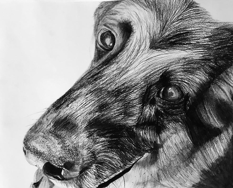 Thumbnail: Custom Pet Portrait