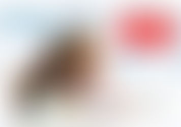 Un nuevo recurso para la EDUCACIÓN EMOCIONAL