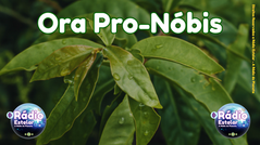 Ora Pro-nóbis