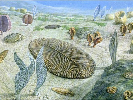 Как старая еда может помочь разгадать тайну ранних предков животных?