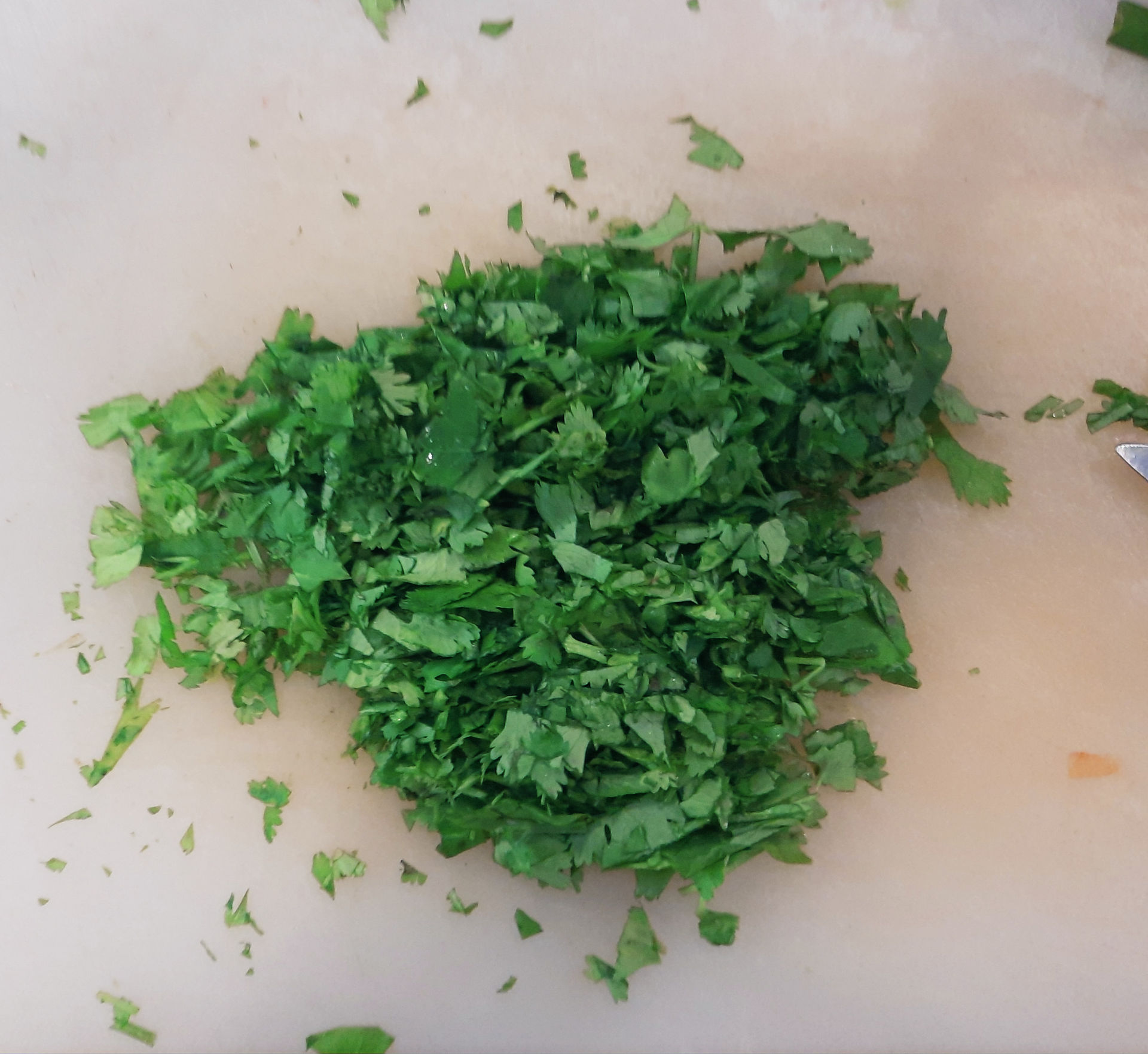 chopped culantro