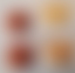 Debbie Johnson's Snickerdoodles