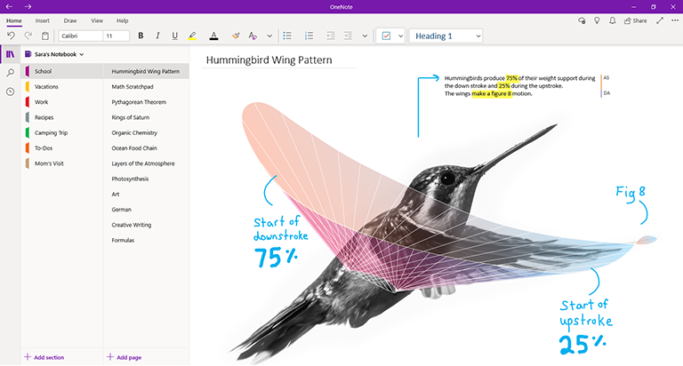 OneNote App für Windows 10