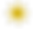 stars-mustard_6large.png