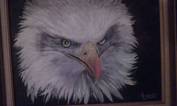 Eagle1