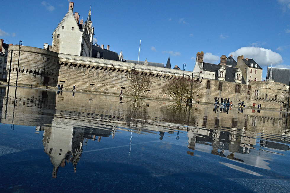 Miroir d'Eau - Château des Ducs