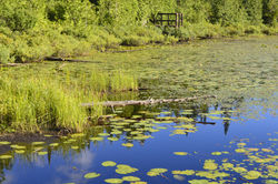 ©Tous droits réservés. D.C.